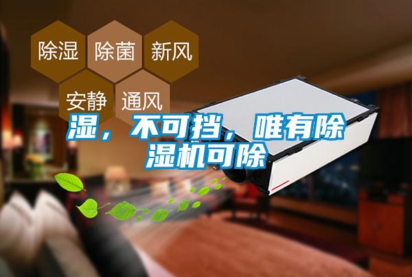 濕，不可擋，唯有除濕機(jī)可除