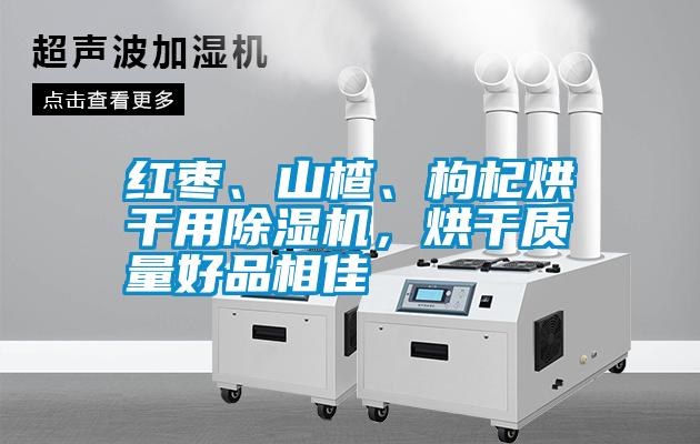 紅棗、山楂、枸杞烘干用除濕機(jī)，烘干質(zhì)量好品相佳