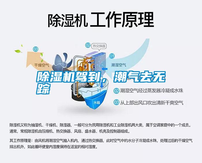 除濕機駕到，潮氣去無蹤