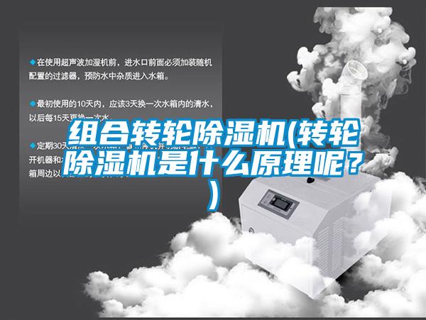 組合轉(zhuǎn)輪除濕機(jī)(轉(zhuǎn)輪除濕機(jī)是什么原理呢？)