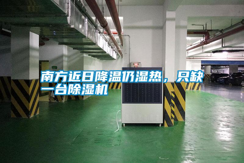 南方近日降溫仍濕熱，只缺一臺除濕機