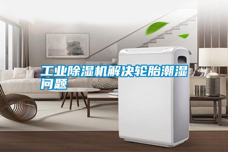 工業(yè)除濕機(jī)解決輪胎潮濕問(wèn)題