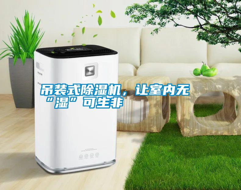 吊裝式除濕機，讓室內(nèi)無“濕”可生非