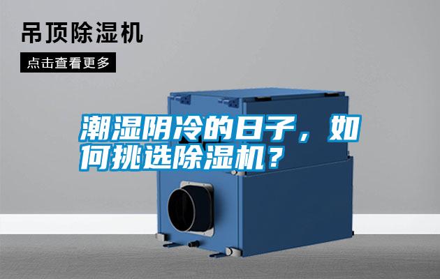 潮濕陰冷的日子，如何挑選除濕機(jī)？