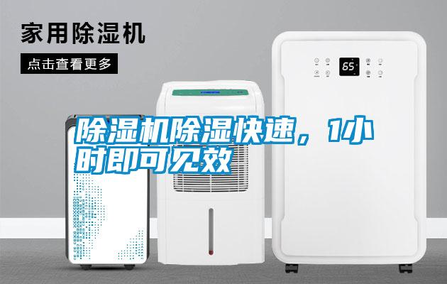除濕機(jī)除濕快速，1小時(shí)即可見效