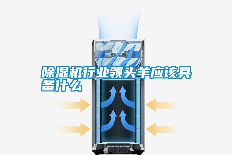 除濕機行業(yè)領(lǐng)頭羊應(yīng)該具備什么