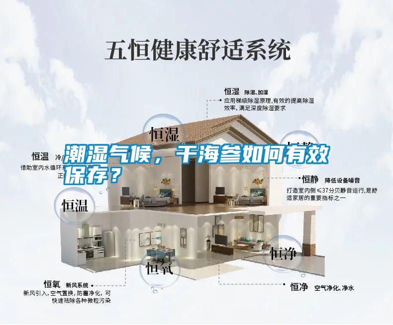 潮濕氣候，干海參如何有效保存？