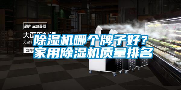 除濕機(jī)哪個(gè)牌子好？家用除濕機(jī)質(zhì)量排名
