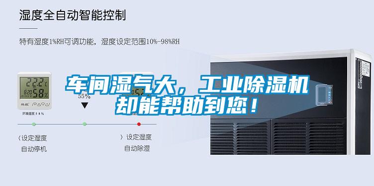 車間濕氣大，工業(yè)除濕機(jī)卻能幫助到您！