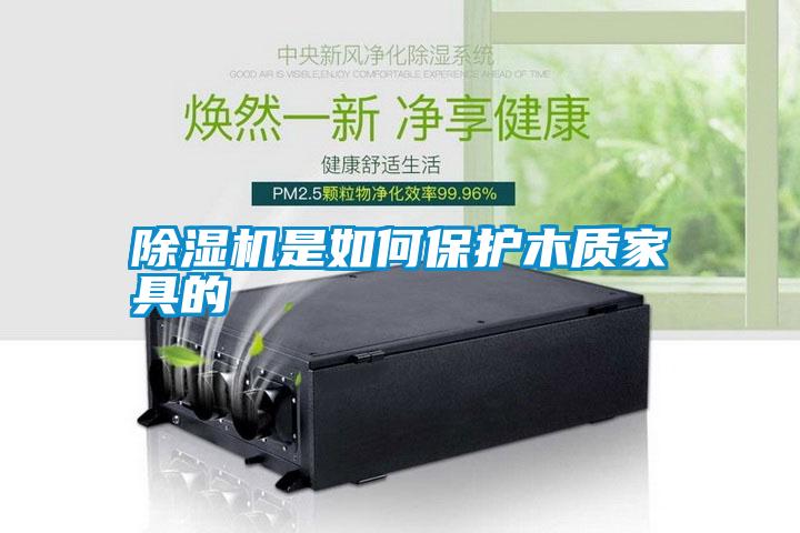 除濕機是如何保護木質(zhì)家具的