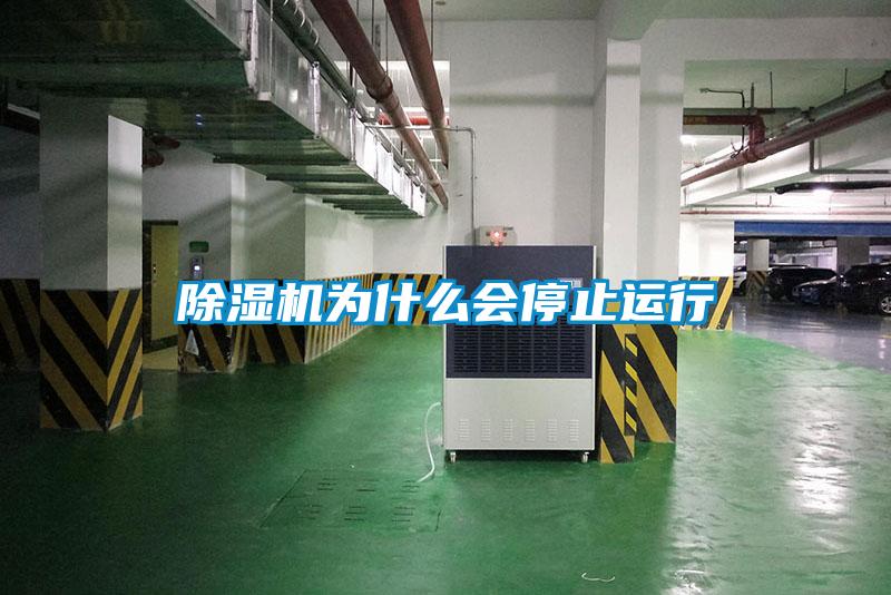 除濕機(jī)為什么會(huì)停止運(yùn)行