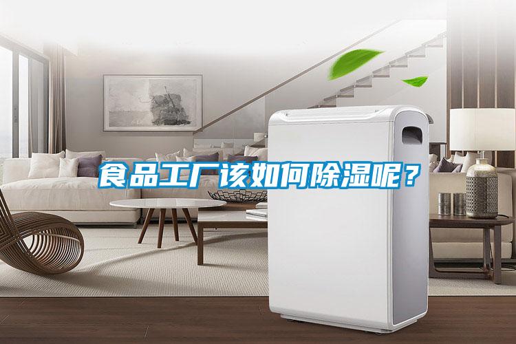 食品工廠該如何除濕呢？