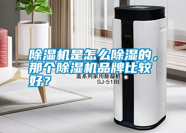 除濕機是怎么除濕的，那個除濕機品牌比較好？