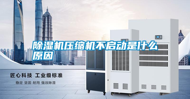 除濕機(jī)壓縮機(jī)不啟動(dòng)是什么原因