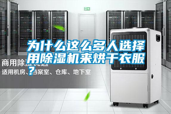為什么這么多人選擇用除濕機來烘干衣服？