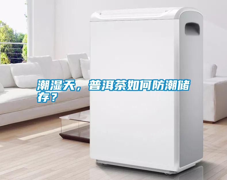 潮濕天，普洱茶如何防潮儲(chǔ)存？