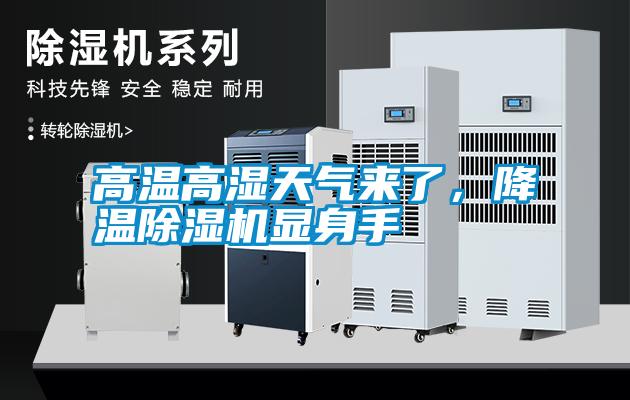 高溫高濕天氣來了，降溫除濕機顯身手