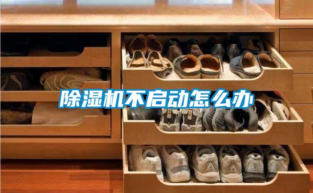 除濕機(jī)不啟動怎么辦