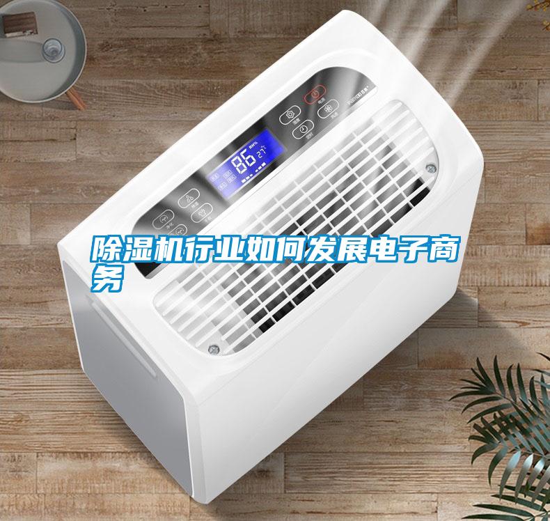 除濕機行業(yè)如何發(fā)展電子商務(wù)