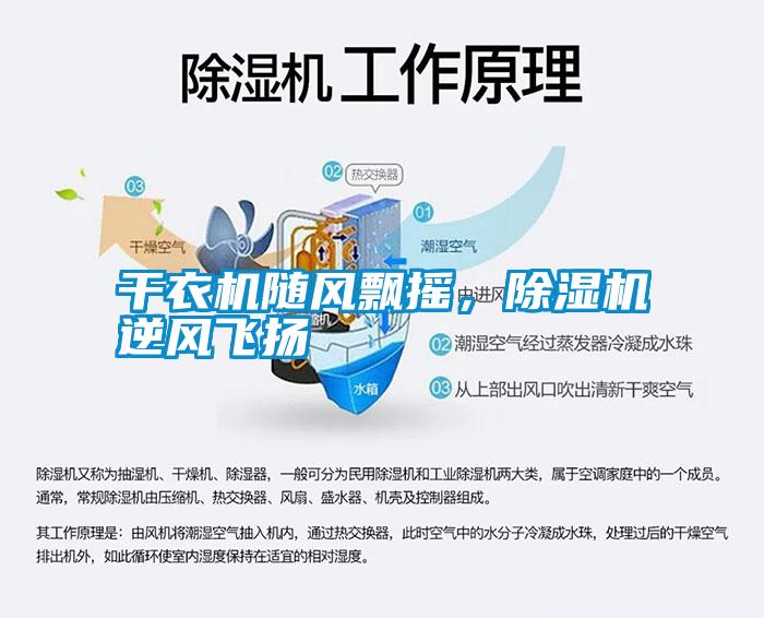 干衣機隨風(fēng)飄搖，除濕機逆風(fēng)飛揚