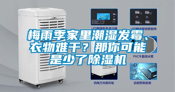 梅雨季家里潮濕發(fā)霉、衣物難干？那你可能是少了除濕機(jī)