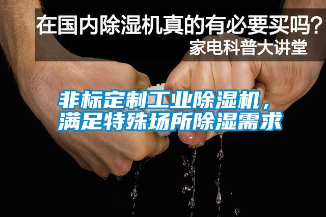 非標(biāo)定制工業(yè)除濕機(jī)，滿足特殊場(chǎng)所除濕需求