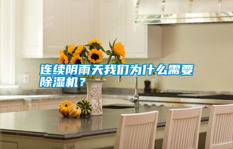 連續(xù)陰雨天我們?yōu)槭裁葱枰凉駲C(jī)？