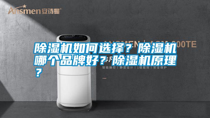 除濕機(jī)如何選擇？除濕機(jī)哪個(gè)品牌好？除濕機(jī)原理？