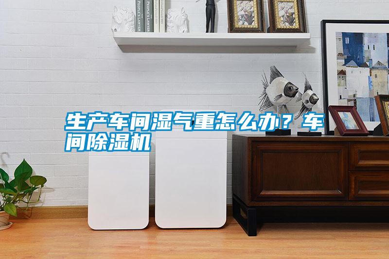 生產(chǎn)車(chē)間濕氣重怎么辦？車(chē)間除濕機(jī)