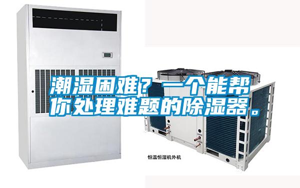 潮濕困難？一個(gè)能幫你處理難題的除濕器。