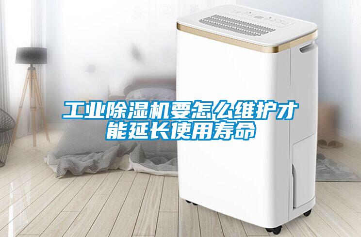 工業(yè)除濕機要怎么維護才能延長使用壽命