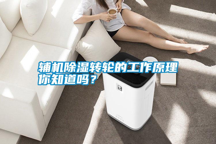 輔機(jī)除濕轉(zhuǎn)輪的工作原理你知道嗎？