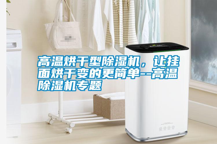 高溫烘干型除濕機(jī)，讓掛面烘干變的更簡單--高溫除濕機(jī)專題