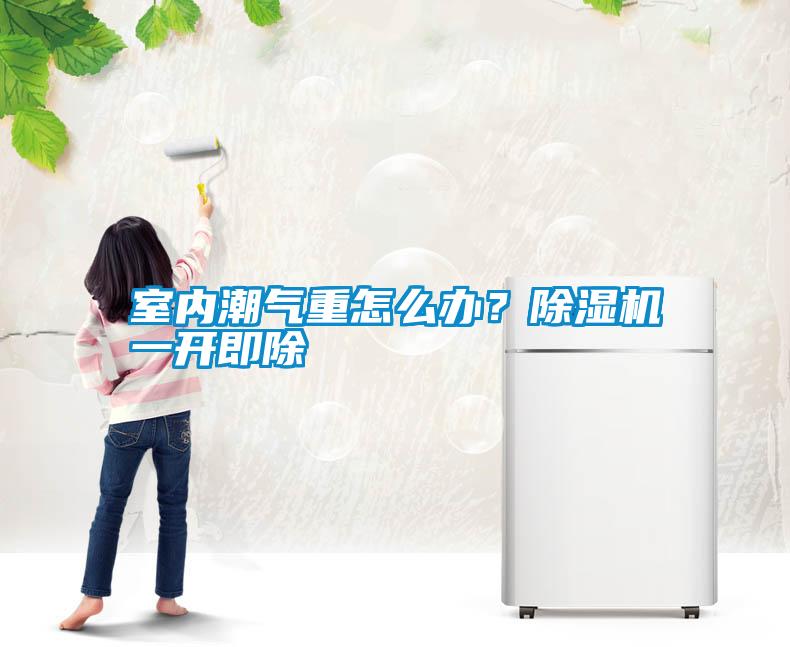 室內(nèi)潮氣重怎么辦？除濕機(jī)一開即除
