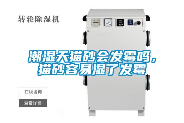 潮濕天貓砂會發(fā)霉嗎，貓砂容易濕了發(fā)霉