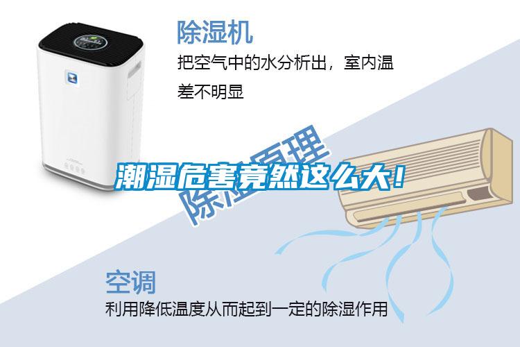 潮濕危害竟然這么大！
