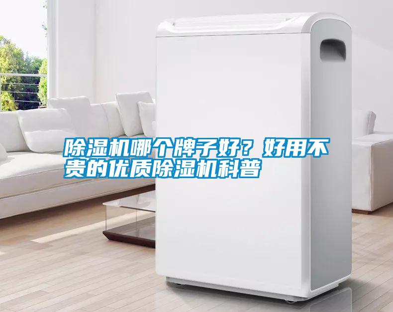 除濕機(jī)哪個(gè)牌子好？好用不貴的優(yōu)質(zhì)除濕機(jī)科普