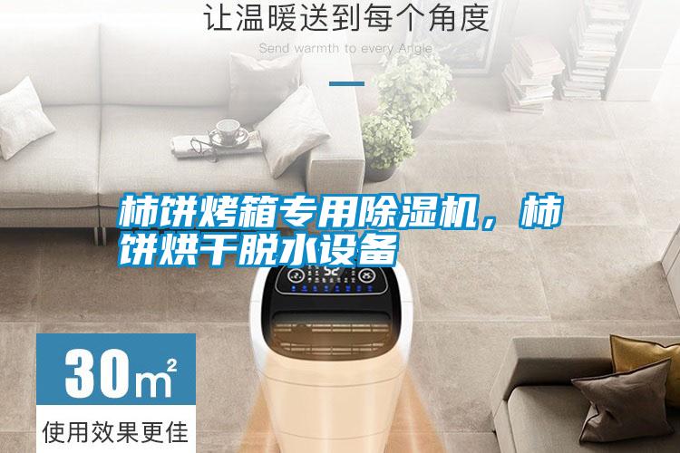 柿餅烤箱專用除濕機(jī)，柿餅烘干脫水設(shè)備