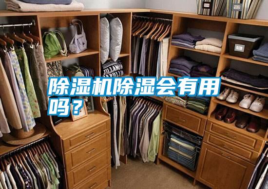 除濕機(jī)除濕會(huì)有用嗎？