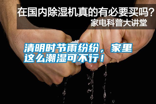 清明時節(jié)雨紛紛，家里這么潮濕可不行！