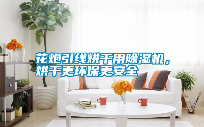 花炮引線烘干用除濕機(jī)，烘干更環(huán)保更安全