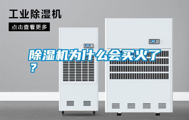 除濕機(jī)為什么會(huì)買火了？