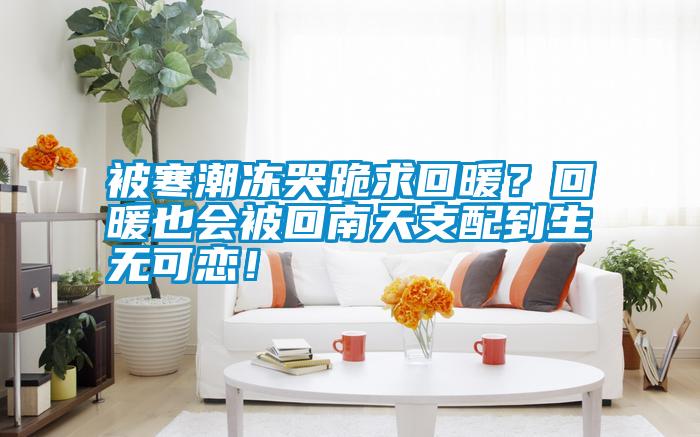 被寒潮凍哭跪求回暖？回暖也會被回南天支配到生無可戀！