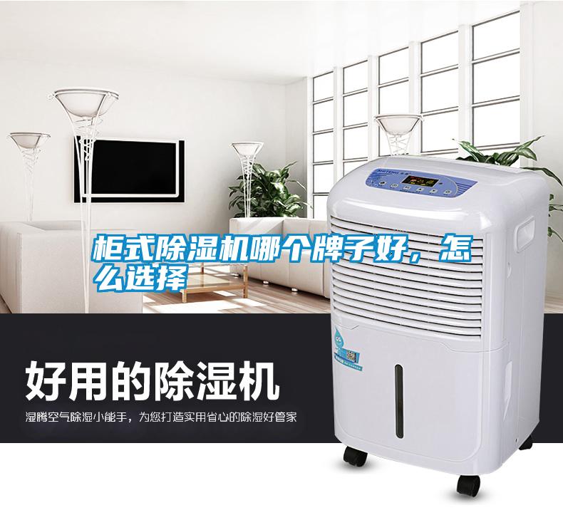 柜式除濕機(jī)哪個(gè)牌子好，怎么選擇