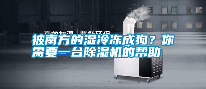 被南方的濕冷凍成狗？你需要一臺除濕機(jī)的幫助