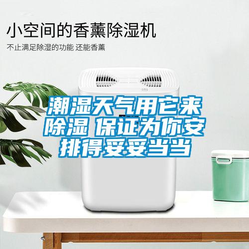 潮濕天氣用它來除濕　保證為你安排得妥妥當(dāng)當(dāng)