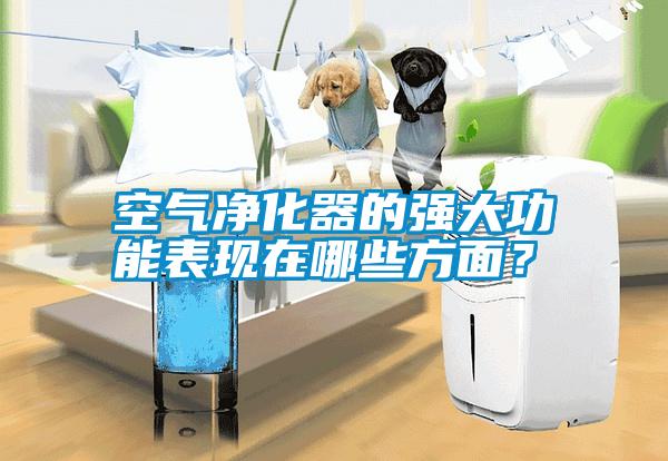 空氣凈化器的強(qiáng)大功能表現(xiàn)在哪些方面？