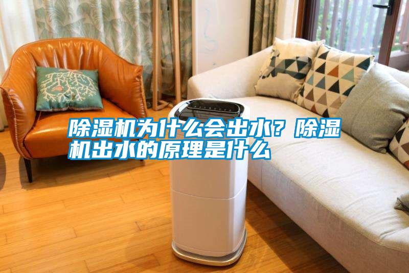 除濕機(jī)為什么會(huì)出水？除濕機(jī)出水的原理是什么