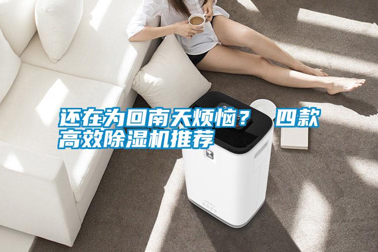 還在為回南天煩惱？ 四款高效除濕機推薦