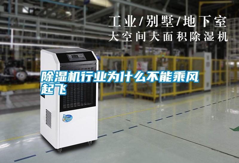 除濕機(jī)行業(yè)為什么不能乘風(fēng)起飛